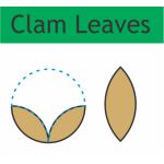 7" Clam Leaf