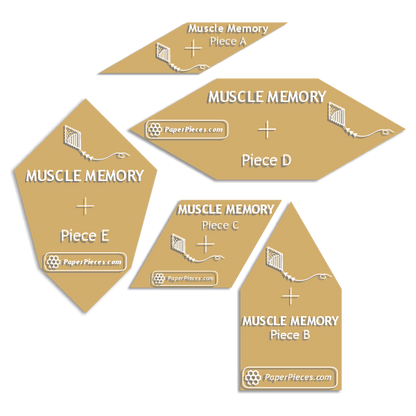 Muscle Memory by Darty Kite Company